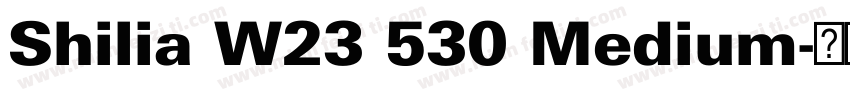 Shilia W23 530 Medium字体转换